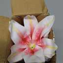 SNAIL GARDEN 24PCS 5.5" Large Fake Lilies Flower Heads with Realistic Stamens,24PCS Pink Artificial Flower Heads, Bulk Silk Flowers for Crafts, Cake Decorating, Wedding Party Wreath, Home Decor