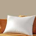 Shilucheng Down Pillows Queen Size Set of 1, 900+ Fill Power Side Sleeper Pillow for Sleeping, Hotel Quality Pillows for Side,20" x 30"