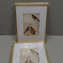 3.5x5 Picture Frame Set of 3, Matte Brass Modern Thin Aluminum Metal Photo Frame with HD Glass, Fits 2.5x3.5 with Mat or 3.5 x 5 without Mat, for Tabletop and Wall Mounting