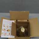 Vintage Cordless Gooseneck Battery Operated Wall Sconces Set of 2, Gold Bedside Battery Powered Wall Decor Lamps with Remote Control, Wireless Indoor LED Lights Fixture for Bedroom Hallway