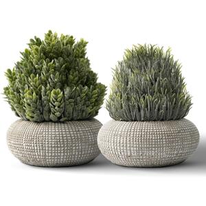 2 Pack Small Fake Plants in Cement Planter for Bathroom Decor, 6.1/5.7 Inch Artificial Plants Indoor, Small Faux Plants Indoor for Home Room Bedroom Farmhouse Kitchen Office Decor