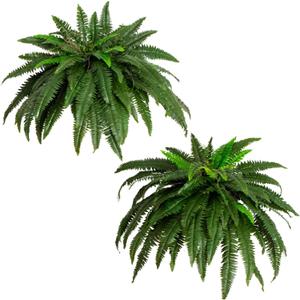Nearly Natural 48in Artificial Boston Fern (Set of 2), Large Faux Greenery with 67 Lifelike Fronds for Indoor Wall, Shelf, and Home Office Decor