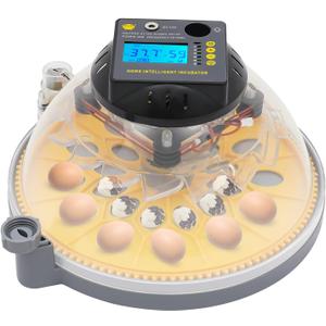 24 Egg Incubator for Hatching Chicks, Poultry Egg Incubator with LCD Screen, Parrot Eggs Brooder with 360 Degree Clear View for Hatching Parrot, Goose, Duck and Bird Eggs