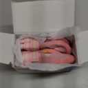 QUMY Dog Shoes for Large Dogs, Medium Dog Boots & Paw Protectors for Winter Snowy Day, Summer Hot Pavement, Water-Resistant in Rainy Weather, Outdoor Walking, Indoor Hardfloors Skid-Resistant Sole (Size 2: 1.9''x2.4''(W*L) (Pack of 4))