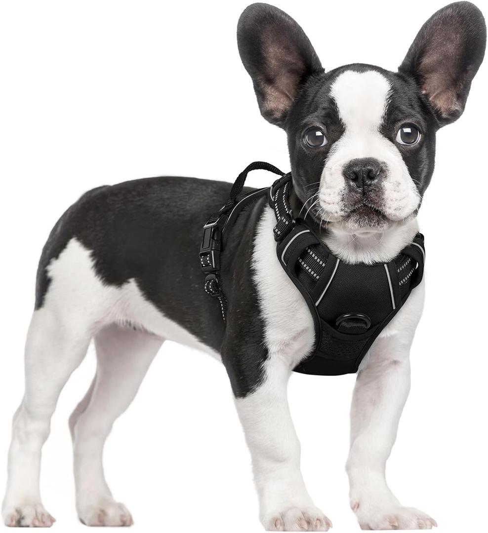 rabbitgoo Dog Harness No Pull with 2 Leash Clips, Adjustable Soft Padded, Reflective Oxford No Choke Pet Vest with Easy Control Handle for Dogs, Black, Small
