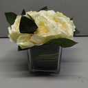 Artificial Peony Silk Flower Centerpieces Faux Floral Arrangement in Glass Vase for Home Wedding Table Decoration (Champagne)