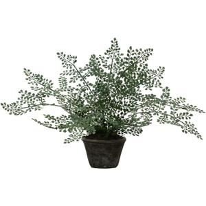 Nearly Natural 4251 Maiden Hair Artificial Plant in Planter Green Small