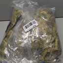 Morph Jurassic Inflatable Dinosaur T-Rex Fancy Dress Costume Unisex - One size fits most