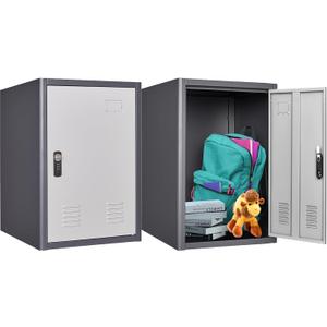 20" H Metal Locker Storage Cabinet, Lockable Cabinet, Small Lockerfor Employees, Lockable 1 Door with 2 Hooks Organizer for Bedroom, School, Office, Playroom, Daycare, Garage