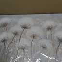 Belmrxne Floral Canvas Wall Art White Wall Decor Aesthetic Artwork Dandelion Canvas Painting for Living Room Bedroom Dining Room Office Home Decor 20x40 inch