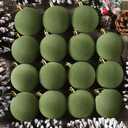 OCTERIC 30 Pcs 2.4 Inches Velvet Christmas Ball Ornaments, Shatterproof Green Flocked Bulbs Decorations Set, Retro Decorative Hanging Plastic Ornaments for Xmas Tree Holiday Party Dcor