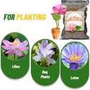 Doter Aquatic Soil for Plants - 2.2LBS, Clay Aquarium Soil Suitable for Small Ponds & Water Plants Like Lotus & Water Lily, Safe for Fish & Aquatic Life
