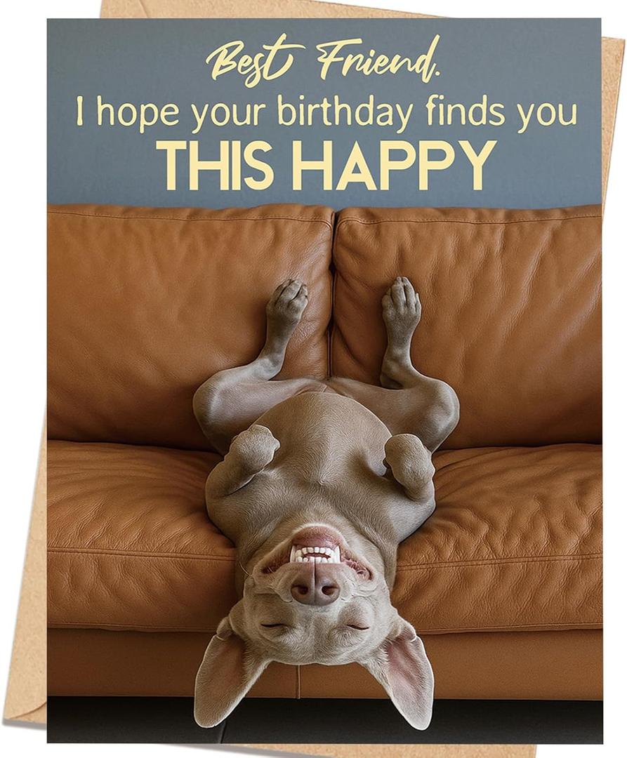 2 x Funny Best Friend Birthday Card, Best Friend Birthday Gift for Women