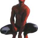 Cardboard People Spider-Man Life Size Cardboard Cutout Standup - Marvel, One Size