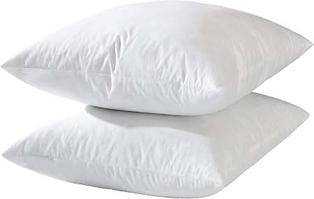 Standard Queen Pillow 20x20 Inch