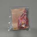 Lionheart glory Easter Day Dog Collar with Flower Dog Collar for X-Small Dogs, Easter Chickens Colorful Dog Flower Collars Spring Pink Collars Puppy Collar Flowers