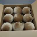 9 PCS Velvet Christmas Balls Ornaments 4inch& 6inch Christmas Large Ball Set for Xmas Tree Decor, Holiday Home Party (Browm, 6inch)