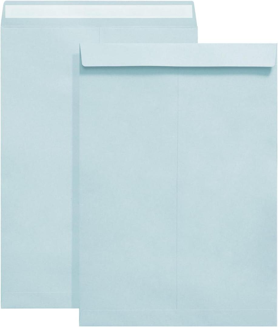 9" x 12.75" Blue Self-Seal Catalog Envelopes, 50