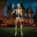 Life Size Skeleton for Halloween: 5.4ft Realistic Human Skeleton, 165cm