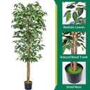 HAIHONG 2Packs 6FT Artificial Ficus Trees with Realistic Leaves and Natural Trunk, Faux Ficus Tree with Sturdy Plastic Nursery Pot, Fake Ficus Tree for Office Home Farmhouse for Indoor Outdoor Decor