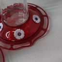 More Birds Bird Health+ Ruby Hummingbird Feeder, Glass Hummingbird Feeders for Outdoors, 4 Feeding Stations, 10 Ounces, Ruby Red