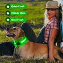 Light Up Dog Collar for Night Walking Flashing, LED Dog Collar Light Rechargeable Reflective Dog Collar Water-Resistant Adjustable Size Dog Collars for Medium Dogs (Green)