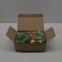 4 Pcs Sukkah Decoration Fruits Hanging Banner for Sukkot - Etrog Apple Decor - Jewish Holiday Celebration Party Supplies (Colorful Style)