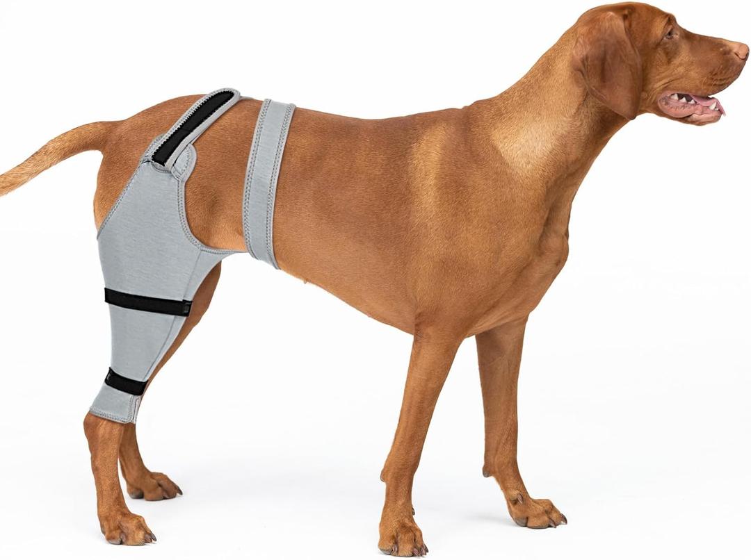 Joypig Dog Rear Leg Sleeve to Stop Licking: Soft Recovery Wrap for Hind/Back Leg Wounds, TPLO ACL Surgery, Surgical Sleeve for Small Medium Large Dogs, Cone Alternative (Left-2XL,Grey)