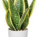Hollyone Artificial Snake Plant Potted Faux Sansevieria Trifasciata Plants, 13" Tropical Fake Plants in White Pots for Home Office Room Indoor Decor Housewarming Gifts