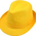 Alizeal 100 Days of School Costume for Kids 2.5cm Elastic Braces 3 Clip Suspender and Bow Tie Set with Fedora Hat (Yellow)