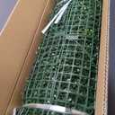 Artificial Grass Wall Panels, 60"x120"(50 SQFT) Boxwood Panels