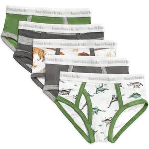 Burt's Bees Baby Boys' Underwear Set - Breathable 100% Organic Cotton Undies, Pack of 5 for Toddler 4-5T
