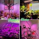 Garpsen Grow Light, 80 LEDs Full Spectrum Plant Lights for Indoor Growing with Clip, 3 Color Modes & 5 Dimming Levels Grow Lamp with Timer 6/12/16H, 360 Adjustable Gooseneck, for Indoor Plant(2Pack)