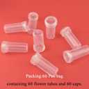 HAHIYO 60PCs 1.6X0.7Inch Transparent Plastic Floral Tubes Floral Water Tubes Flower Vials with Silicone Caps for Plants Fresh Flowers Arrangement Decoration Milkweed Cutting Florist Supplies