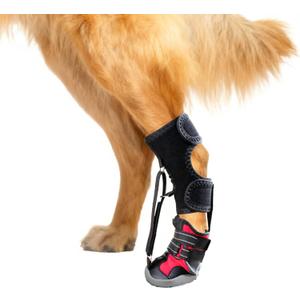 Strap-On Drop Foot Brace (No Knuckling Boot Brace) for Dogs— Dog Knee Pads, Corrective Dog Shoes to Safely Lift Toes for Foot Issues, Arthritis, and improving Walking gait in Dogs(L)