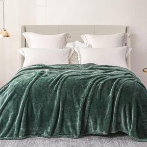 Exclusivo Mezcla Plush Fuzzy Fleece Bed Blanket Queen Size, Super Soft, Fluffy and Warm BlanketsSuitable for All Seasons (Celadon, 90x90 Inches)
