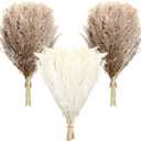 Janinka 100 Pcs Dried Pampas Grass Decor 17 Inch Bulk Natural Small Pompous Wild Fluffy Pompas Floral Boho Decor Flowers for Wedding Party Farmhouse Home Decor Bathroom Office Kitchen (White, Brown)