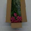 12 Pcs Artificial Flowers for Outdoors, Fake Outdoor Plastic Flowers for Outdoors UV Resistant, Fake Plants Artificial Plants Outdoor Plastic Plants, Silk Faux Spring Flowers for Outside (Bright Mixed Color)