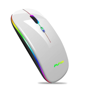 Wireless Bluetooth Mouse for Laptop, Rechargeable Mouse 2.4G USB Optical Wireless Mouse, LED Slim Dual Mode(Bluetooth 5.0 and 2.4G) Wireless for Laptop, PC, Mac OS, Android, Windows(Silver) 