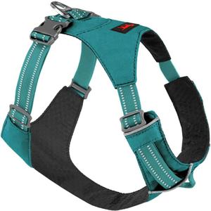 Tuff Pupper All-Day Wear Dog Harness | for Walking, Trail Running, Hiking | Front & Back Leash Clips | Reflective Trim | Easy On/Off Buckles | Lightweight Breathable | No Pull Design (XS, Teal)