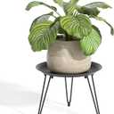 SUEH DESIGN Plant Stand Indoor, Metal Plant Stand Round Plant Table Heavy Duty Plant Stool Flower Pot for Indoor Outdoor Home Decor, 1 Pack Short