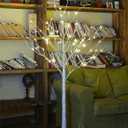 LIGHTSHARE 4 Feet Birch Tree, 48 LED Lights, Warm White, for Home, Festival, Party, and Christmas Decoration, Indoor and Outdoor Use
