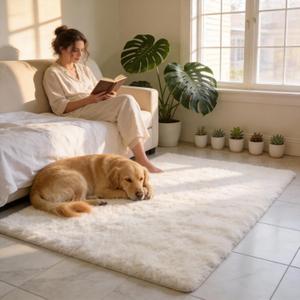Shag 4x6 Area Rug, Cream Rugs for Bedroom Living Room, Non-Slip Ultra Soft Shaggy Fluffy Area Carpet for Kids Room, Dorm, Girls Room, Study, Office, Playroom, Easy to Clean, Modern Home Decor