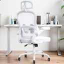 Ergonomic Office Chair,Ultra Thick Office Desk Chair with Adjustable Lumbar Support and Headrest,Spring Cushion,Rocking Function,Flip-up arms,Mesh Computer Chair for Home Office,White, 21.2" W x 20.5" D x 24.8" W x 24.8" D x 50.3" H