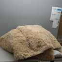 8x10 Area Rugs for Living Room Bedroom, Large Area Rug Shaggy Carpet Soft Plush Furry Bedside Rug, Rugs for Home Decor (Beige, 8 x 10)