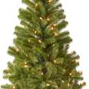 National Tree Company Pre-Lit Artificial Full Christmas Tree, Green, Canadian Fir Grande, White Lights, Includes Stand, 4 Feet