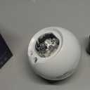 Star Projector,Northern Lights Projector,with Bluetooth Speaker, White Noise, Remote Control,Night Light,for Game Room, Adults, Family Gatherings,Galaxy Projector Bedroom (5.3in)