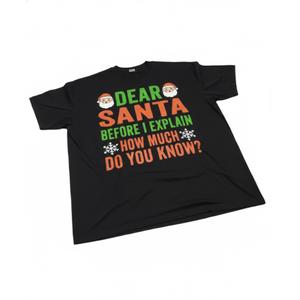 Funny Christmas Shirt Kids Toddler Dear Santa I Can Explain T-Shirt XL