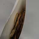 Huwena 36 Pcs Christmas Winter Snowman Ornaments for Tree Snowman Christmas Decorations Wooden Cutouts Wooden Tree Ornaments for Holiday Winter Xmas Party Supplies(Cute)