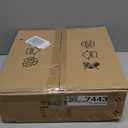 Wood Plug in Wall Sconces, Swing Arm Wall Lamp with Dimmable On Off Switch, 8.6 inch Vintage Wall Mounted Light Fixture with Cord for Bedroom Nightstand Bedside Reading Lamp - Bulb Included